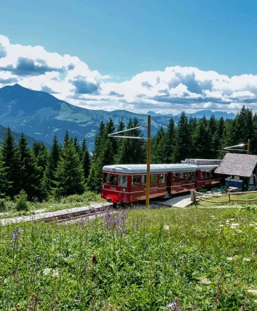 petit train mont blanc